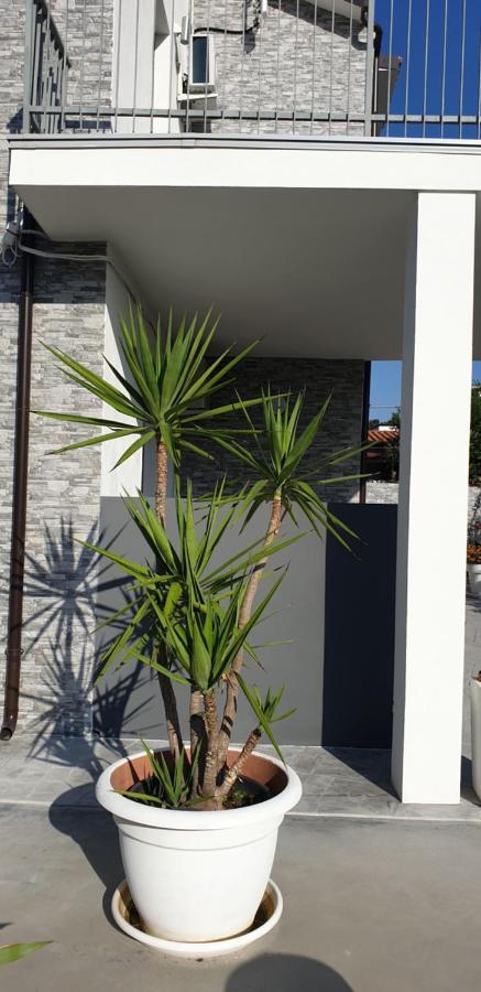 Un Passo Dal Mare Marina Bed & Breakfast San Salvo
